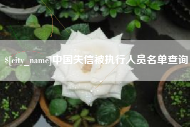 威海中国失信被执行人员名单查询