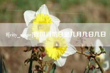威海我国消防日是几月几日几日
