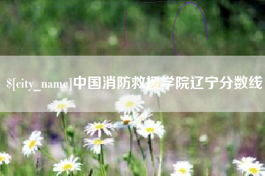 威海中国消防救援学院辽宁分数线