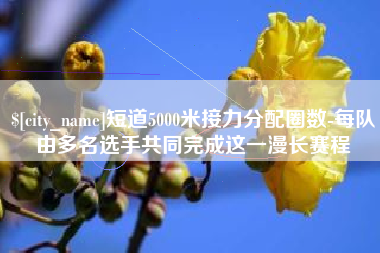 威海短道5000米接力分配圈数-每队由多名选手共同完成这一漫长赛程