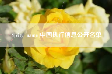 威海中国执行信息公开名单