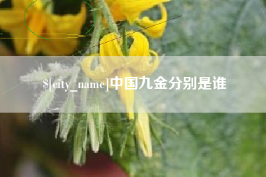 威海中国九金分别是谁