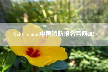 威海中国消防报名官网2020