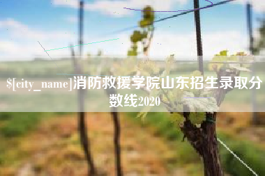 威海消防救援学院山东招生录取分数线2020