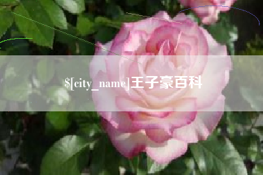威海王子豪百科