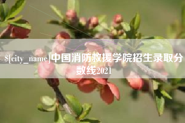 威海中国消防救援学院招生录取分数线2021