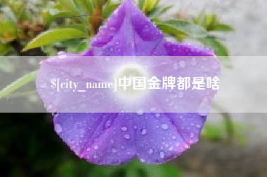 威海中国金牌都是啥