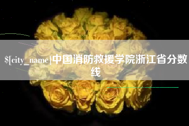 威海中国消防救援学院浙江省分数线