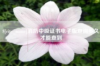 威海消防中级证书电子版查询多久才能查到