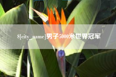威海男子5000米世界冠军