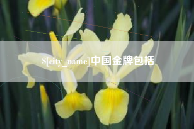 威海中国金牌包括