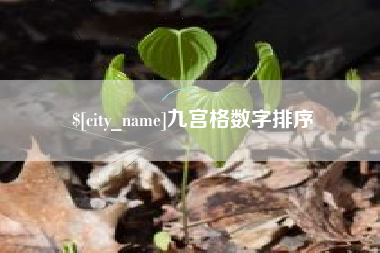 威海九宫格数字排序