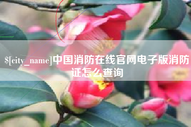 威海中国消防在线官网电子版消防证怎么查询