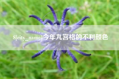 威海今年九宫格的不利颜色