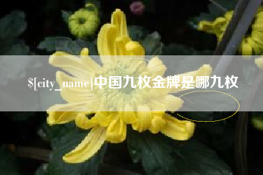 威海中国九枚金牌是哪九枚