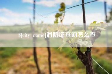 威海消防证查询怎么查