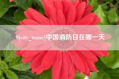 威海中国消防日在哪一天