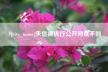 威海失信被执行公开网查不到