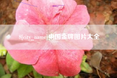 威海中国金牌图片大全