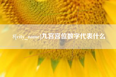 威海九宫宫位数字代表什么