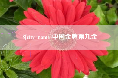 威海中国金牌第九金