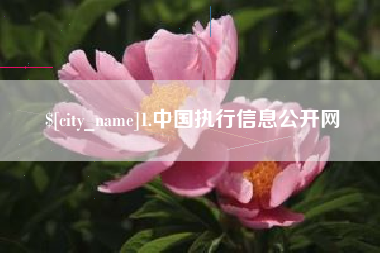 威海1.中国执行信息公开网