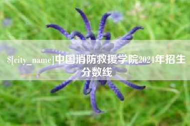 威海中国消防救援学院2024年招生分数线
