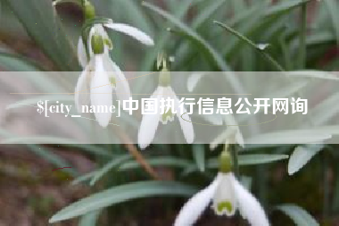 威海中国执行信息公开网询