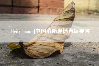 威海中国消防现场直播视频