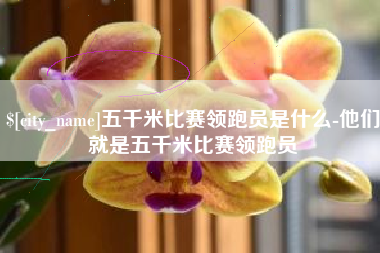 威海五千米比赛领跑员是什么-他们就是五千米比赛领跑员