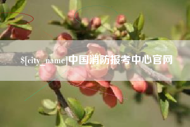 威海中国消防报考中心官网