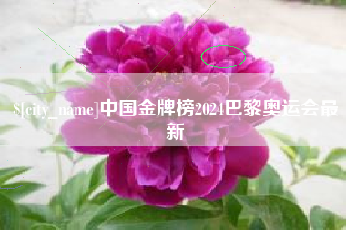 威海中国金牌榜2024巴黎奥运会最新