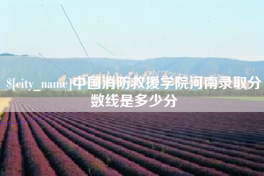 威海中国消防救援学院河南录取分数线是多少分