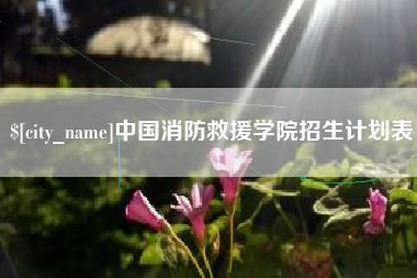 威海中国消防救援学院招生计划表