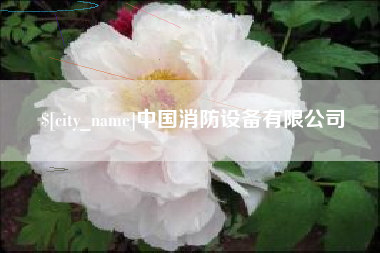 威海中国消防设备有限公司