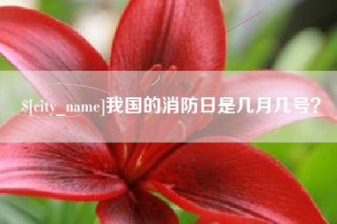 威海我国的消防日是几月几号？