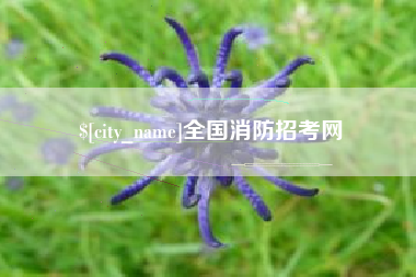 威海全国消防招考网