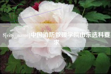 威海中国消防救援学院山东选科要求