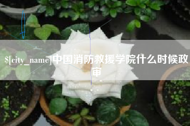 威海中国消防救援学院什么时候政审