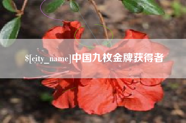 威海中国九枚金牌获得者