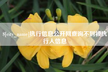 威海执行信息公开网查询不到被执行人信息