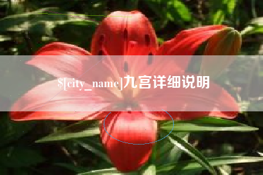 威海九宫详细说明
