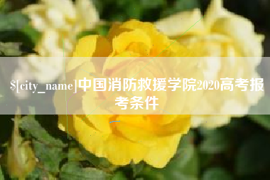 威海中国消防救援学院2020高考报考条件