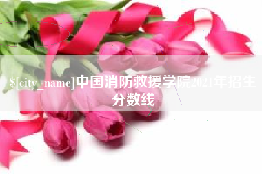 威海中国消防救援学院2021年招生分数线