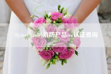 威海消防产品ccc认证查询