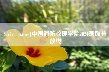 威海中国消防救援学院2021录取分数线