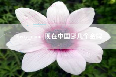 威海现在中国哪几个金牌