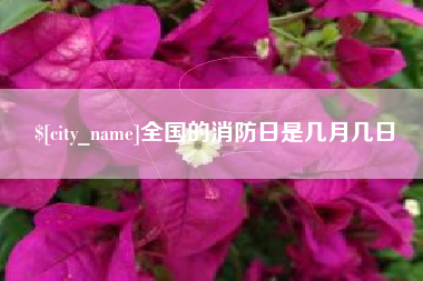 威海全国的消防日是几月几日