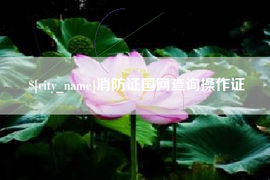 威海消防证国网查询操作证