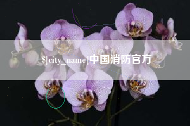 威海中国消防官方